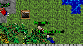 Bunnehz on screen