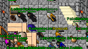Paladonka on screen