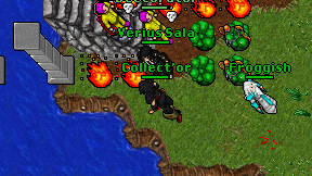 Collect'or on screen