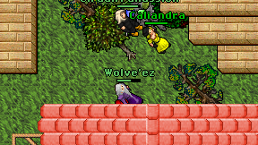 Wolve'ez on screen