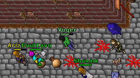 Voqer on screen