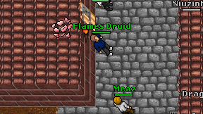 Flames Druid on screen