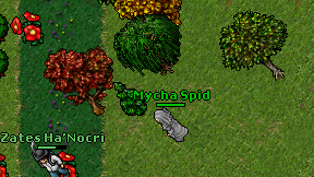 Mycha Spid on screen