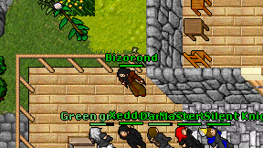 Bizorond on screen