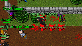 Arkanjus Fighter on screen