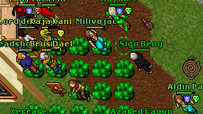 Sigo Beng on screen