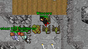 Wixcors on screen