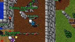 Firilin on screen