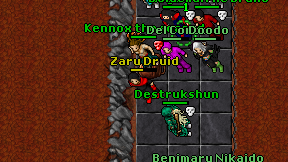 Zaru Druid on screen