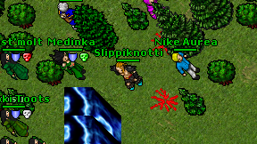 Slippiknotti on screen