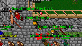 Druid Beesje on screen