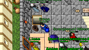 Ewqa on screen