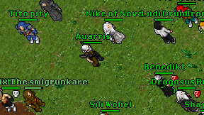 Auarris on screen