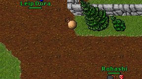 Leip Dora on screen
