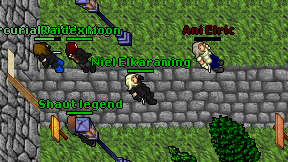 Niel Elkaraming on screen