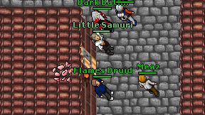 Little Samuri on screen