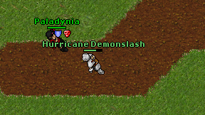 Hurricane Demonslash on screen