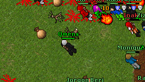 Qwens on screen
