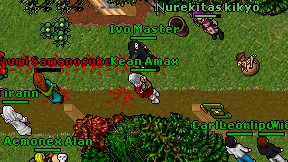 Ivo Master on screen