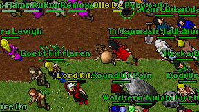 Tisaj on screen
