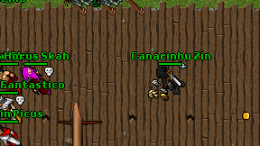 Canarinhu Zin on screen