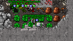 Taleus on screen