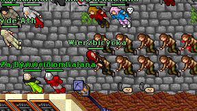 Wierzbicycka on screen