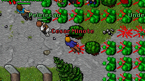 Cesar Minote on screen