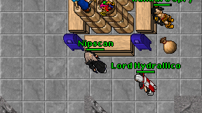 Nipscan on screen