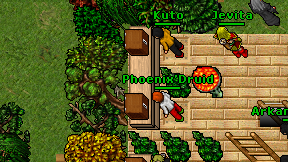 Phoenix'Druid on screen