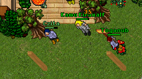 Czita on screen