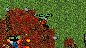 Aran Mira on screen