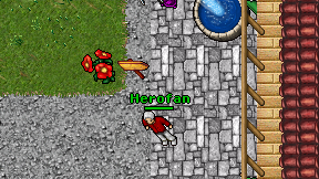 Herofan on screen