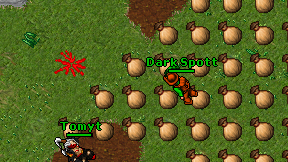 Dark Spott on screen