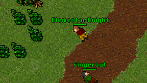Elementar Knight on screen