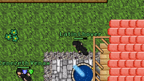 Latin Lhover on screen