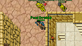 Feal Druida on screen