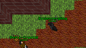 Zyzienzergling on screen