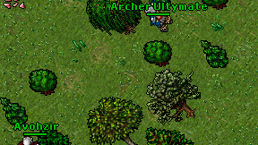 Archer Ultymate on screen