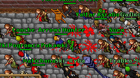 Arrows Hunter on screen