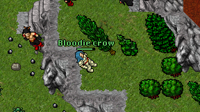 Bloodie crow on screen