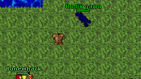 Radik gama on screen