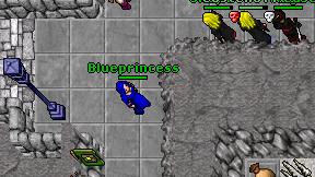 Blueprincess on screen