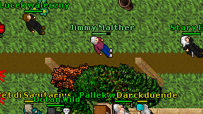Jimmy Malther on screen