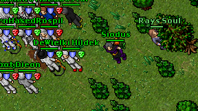 Siodus on screen