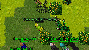 Saynos Belmingo on screen