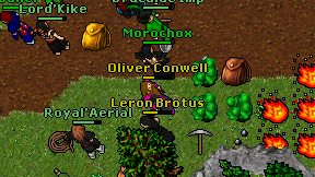 Oliver Conwell on screen