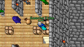 Gaucho Tche on screen