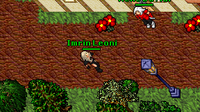 Imrin Leoni on screen