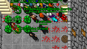 Leekzin on screen